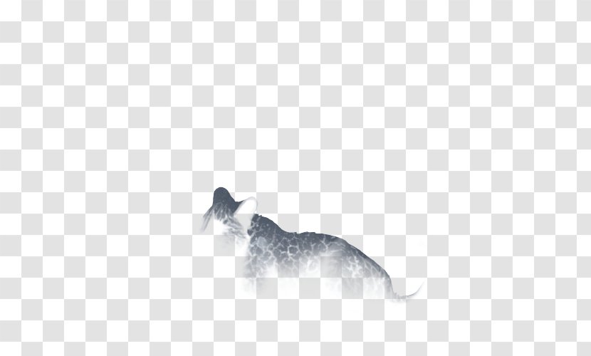 Dog Breed Whiskers Snout White - Wildlife Transparent PNG