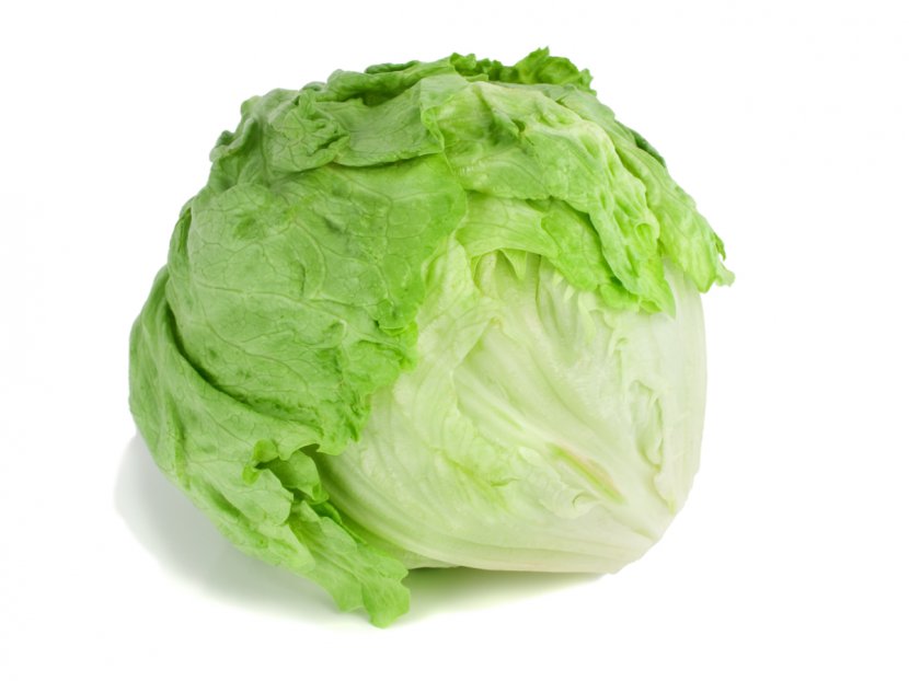 Iceberg Lettuce Organic Food Sandwich Salad Romaine - Health Transparent PNG