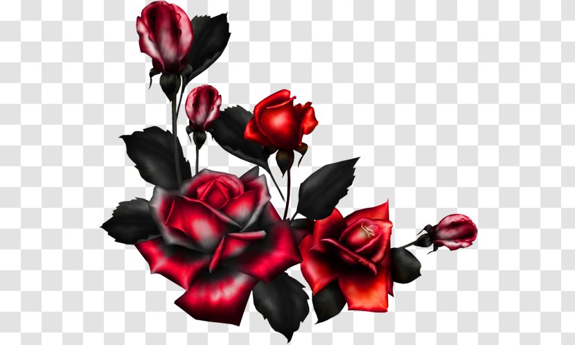 Rose Clip Art Flower Image - Bouquet Transparent PNG