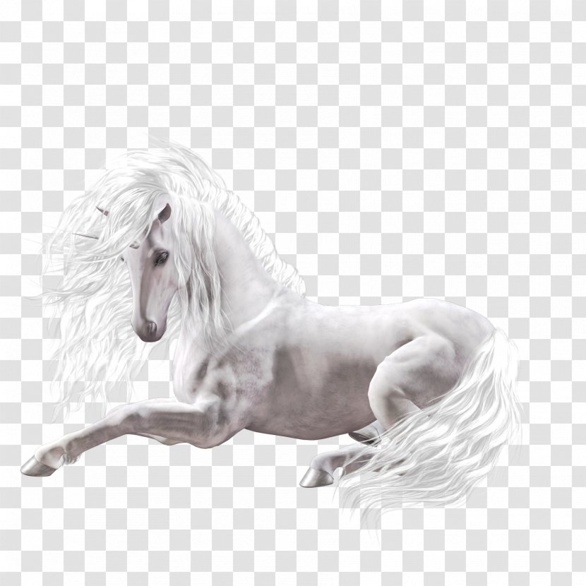 Unicorn Horse Sticker Zaginiony Rozkaz - Motif Transparent PNG