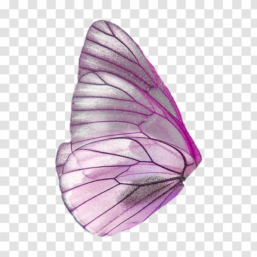 Butterfly Fairy Wings Clip Art - Wing Transparent PNG