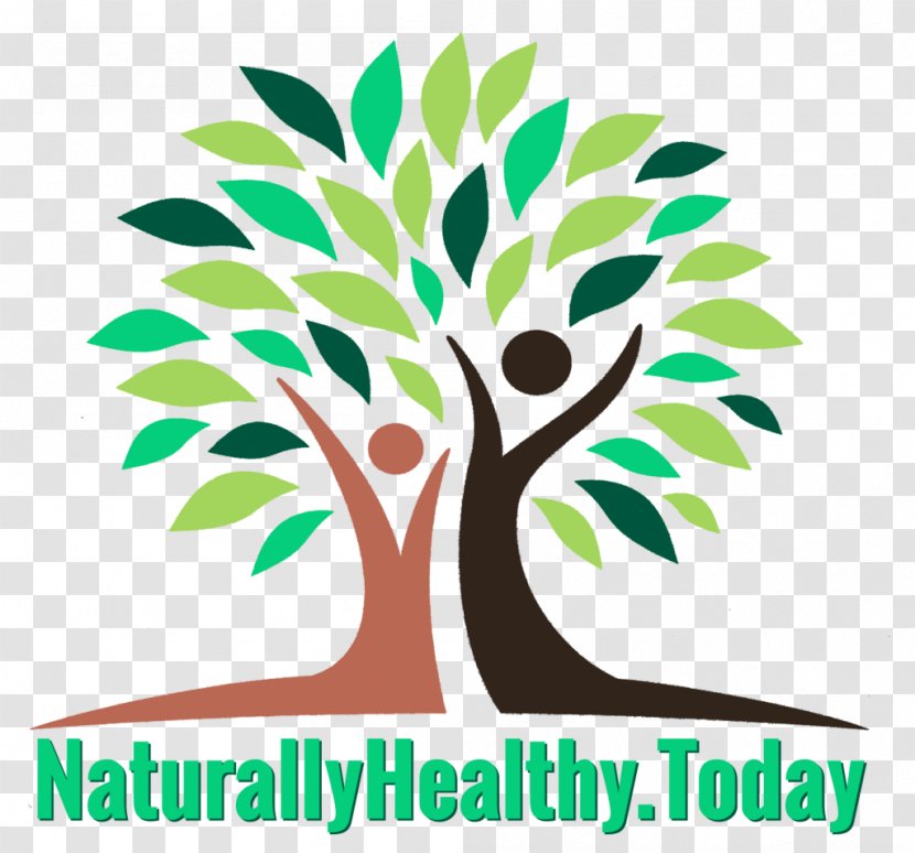 Dietary Supplement Zija Drumstick Tree Health Nutrient - Toxin - Moringa Transparent PNG