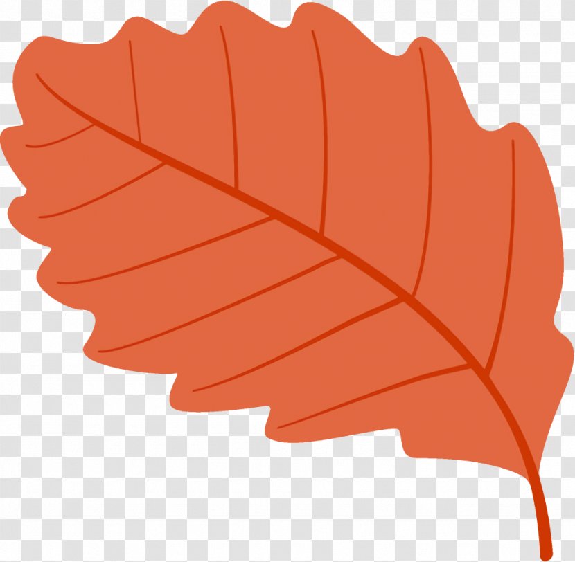 Autumn Leaf Fallen Dead - Plant - Tree Transparent PNG