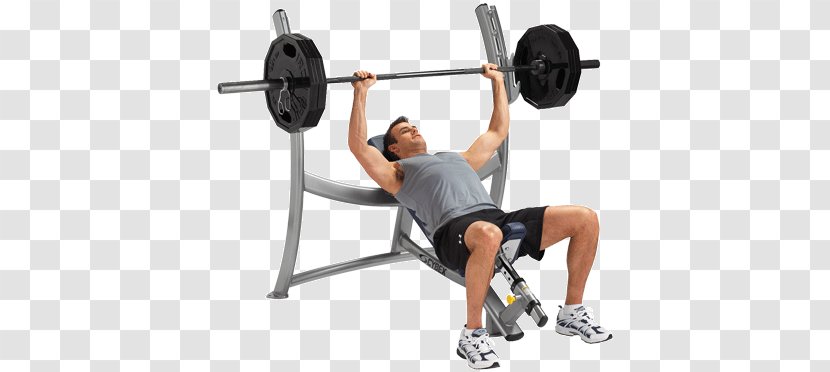 Bench Press Weight Training Exercise Equipment Fitness Centre - Flower Transparent PNG