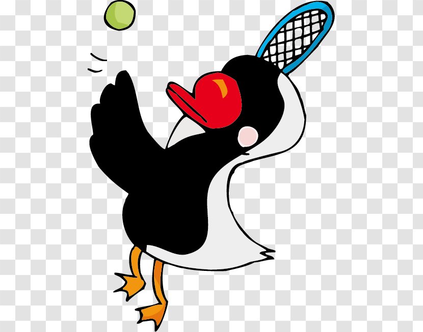 Bird Penguin Tennis Illustration - Cartoon Transparent PNG