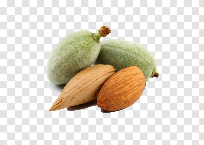 Dried Fruit Nut Almond - Snack Transparent PNG
