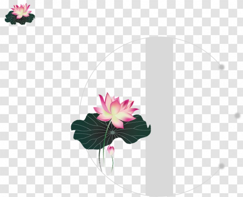 Lotus Title - Flora - Elements Hong Kong Transparent PNG