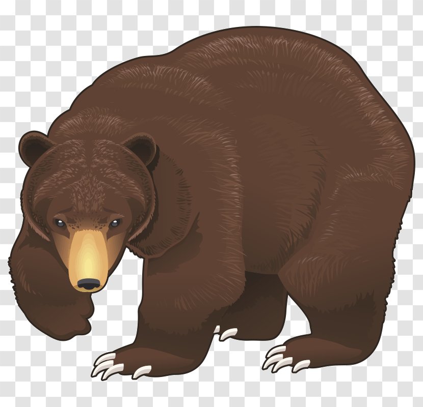 Brown Bear Clip Art - Carnivoran Transparent PNG