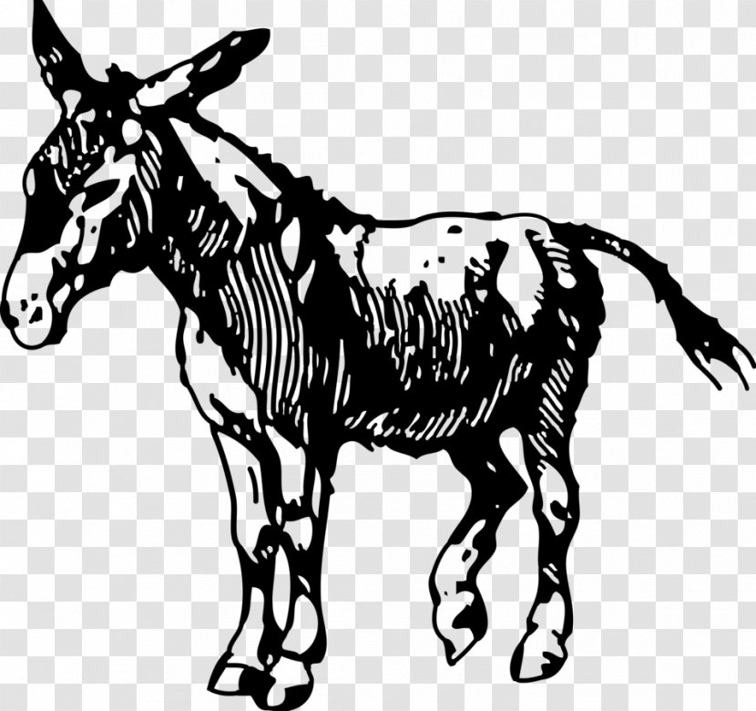Donkey Drawing Clip Art - Rein Transparent PNG