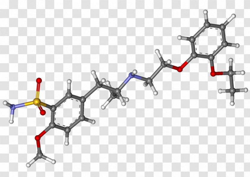 Encyclopedia Simple English Wikipedia Dictionary - Interleukin22 Receptor Transparent PNG