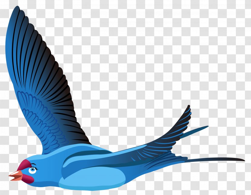 Bird Flight Red-billed Leiothrix Blue - Hawk - Flying Transparent PNG
