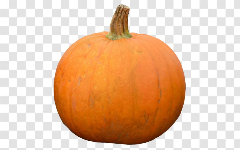 Jack-o'-lantern Pumpkin Gourd Calabaza Cucurbita - Winter Squash Transparent PNG