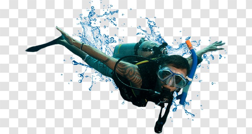 Scuba Diving Set Underwater Recreational Dive Sites Pony Bottle - Pearl Hunting Transparent PNG