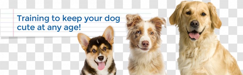 Dog Breed Pet Wood Snout - Paw - Keep Pets Transparent PNG