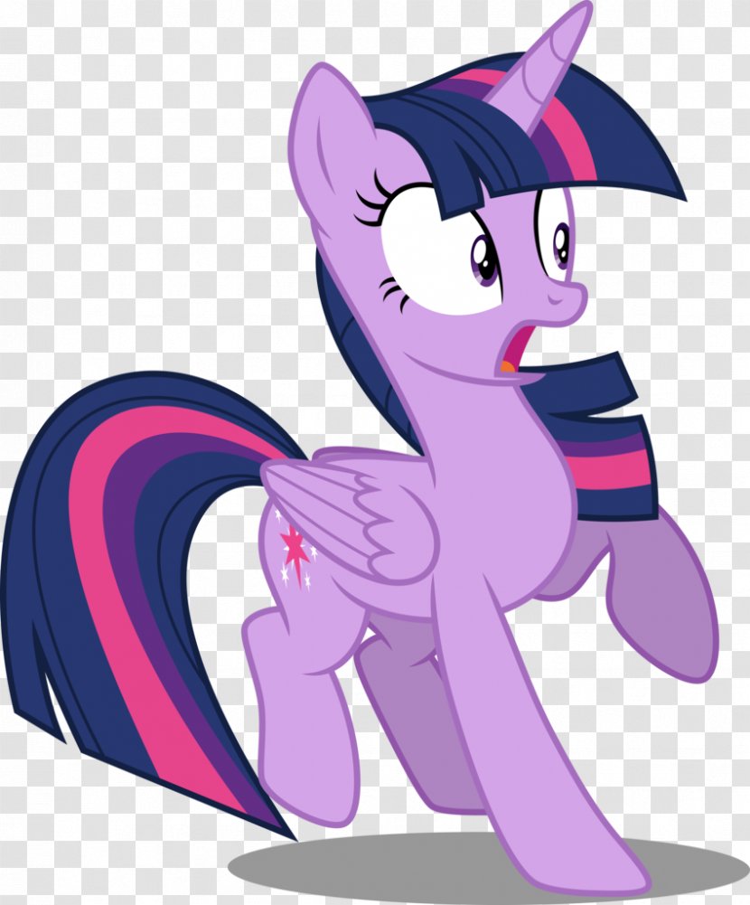 My Little Pony Twilight Sparkle Fluttershy Winged Unicorn - Frame Transparent PNG