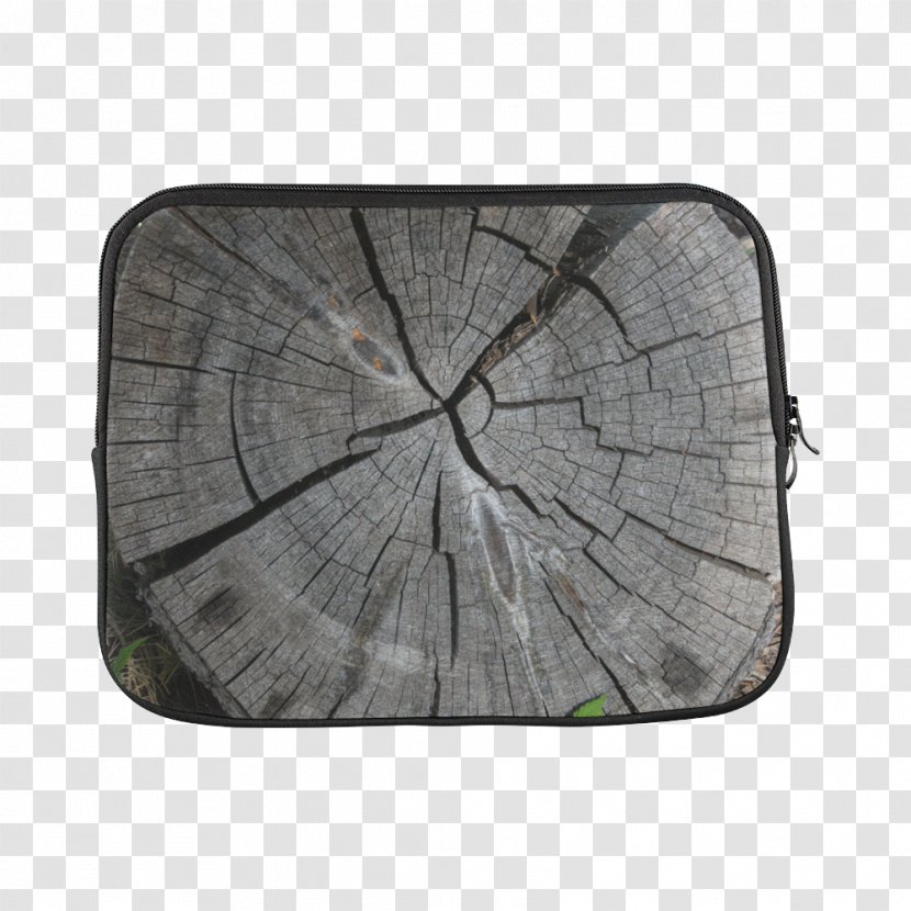 Wood Tree /m/083vt Rectangle - Dry Trees Transparent PNG
