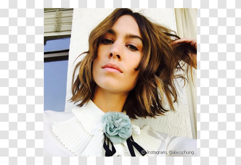 Alexa Chung Brown Hair Bob Cut Hairstyle Fashion - Tree - Model Transparent PNG