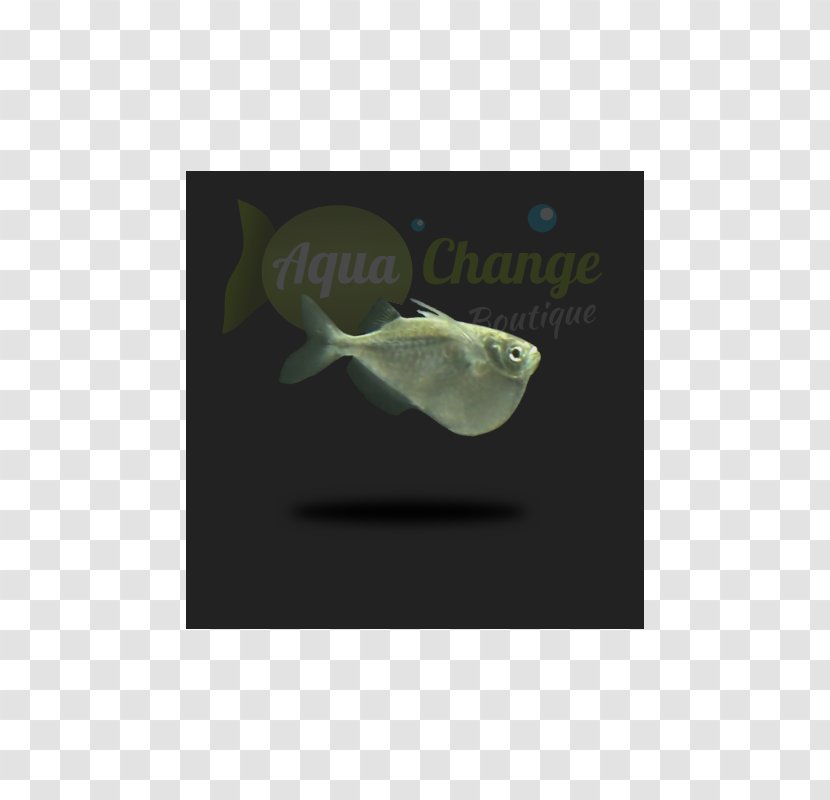 Organism Jaw - Design Transparent PNG