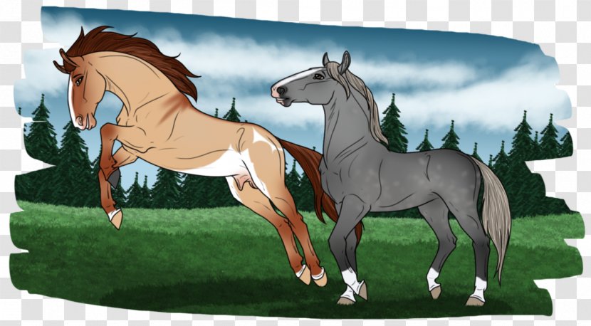 Mane Foal Mustang Stallion Mare Transparent PNG