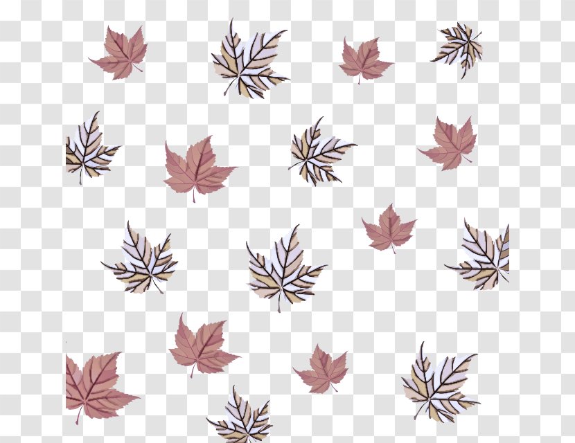 Leaf Plant Transparent PNG