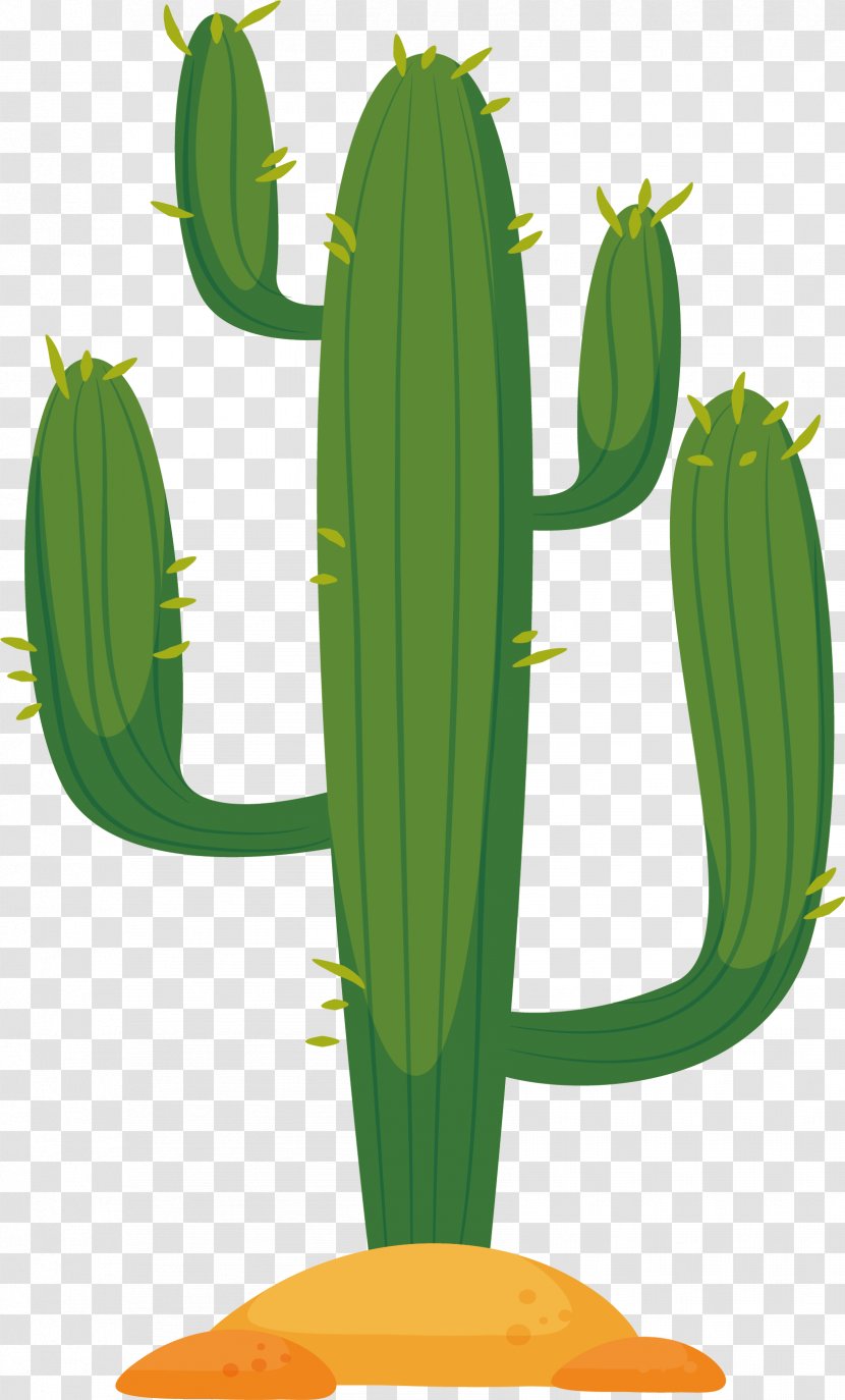 Cactaceae Cactus In The Desert Euclidean Vector - Flowerpot Transparent PNG