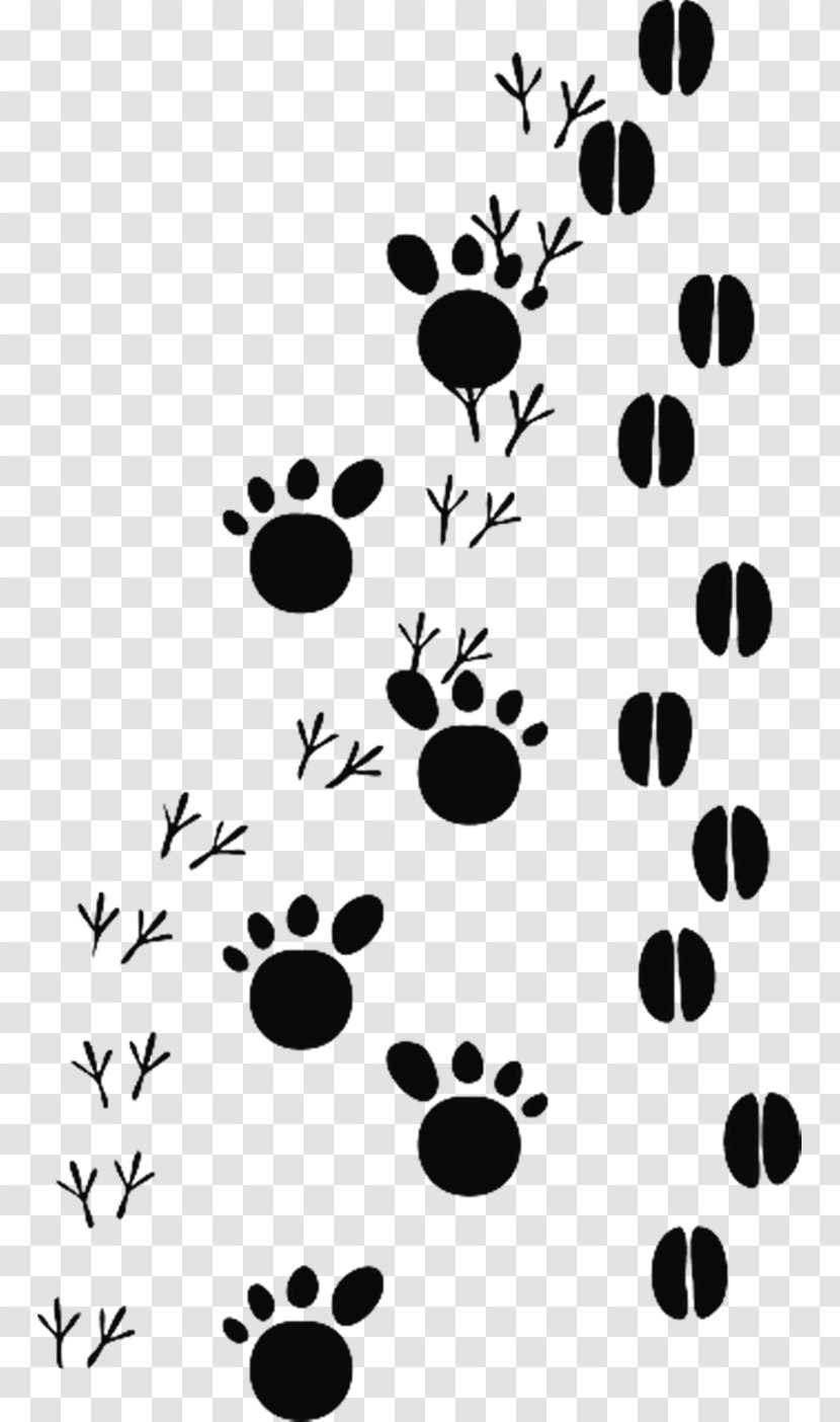 Animal Track Footprint Clip Art - Ornamental - Cat Footprints Transparent PNG