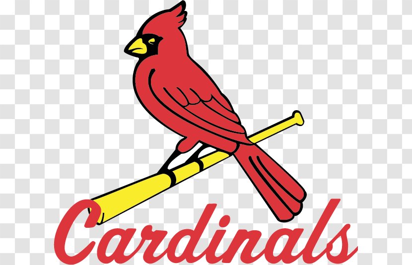 Busch Stadium Logos And Uniforms Of The St. Louis Cardinals Sportsman's Park MLB - Bob Gibson - Baseball Transparent PNG