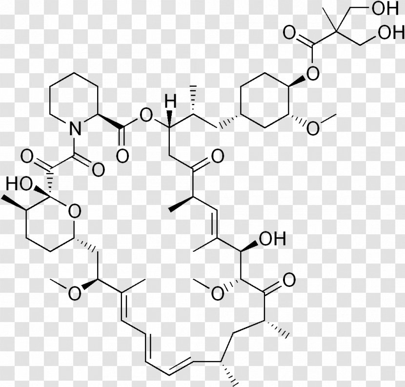 Temsirolimus Everolimus MTOR Inhibitors - Zotarolimus - Pharmacokinetics Transparent PNG