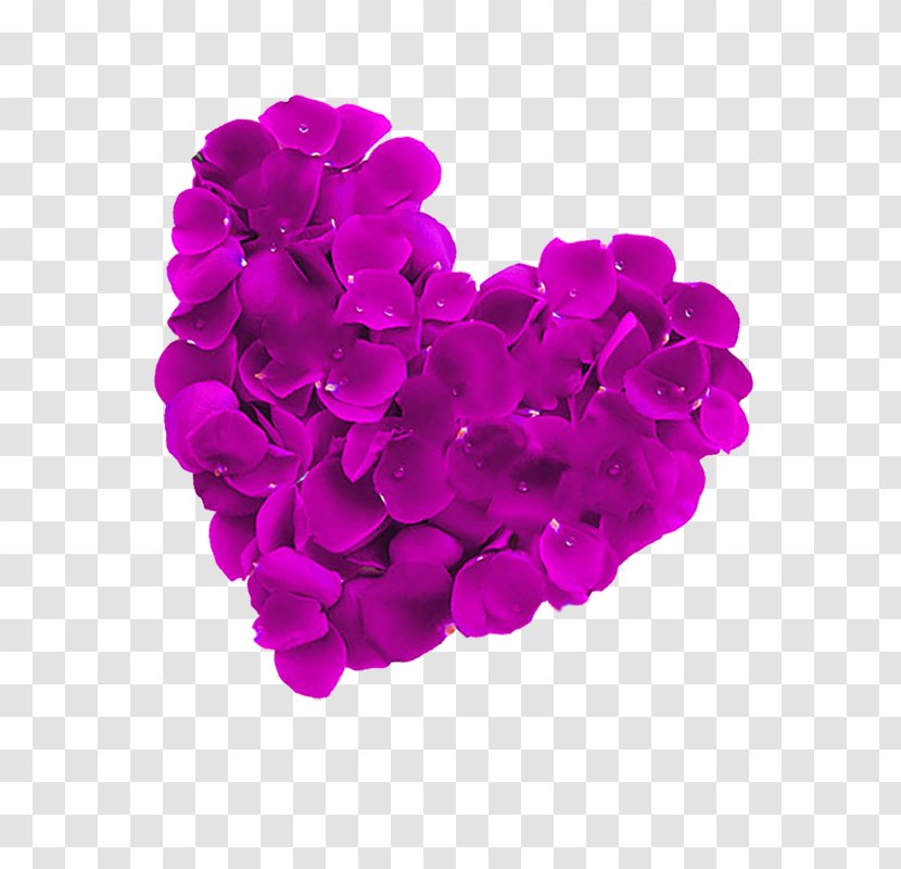 Petal Heart Clip Art - Cut Flowers - Dream Petals Love Transparent PNG