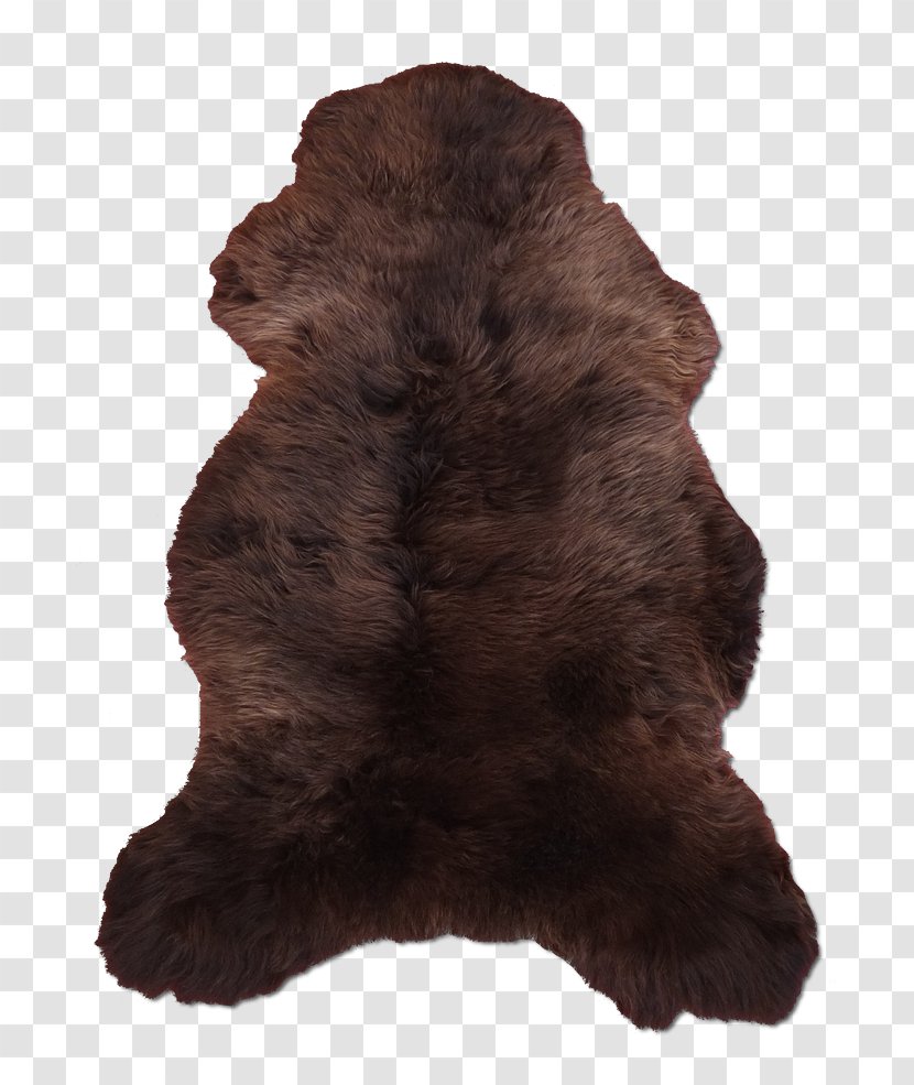 Fur Snout - Clothing - Mouton Transparent PNG