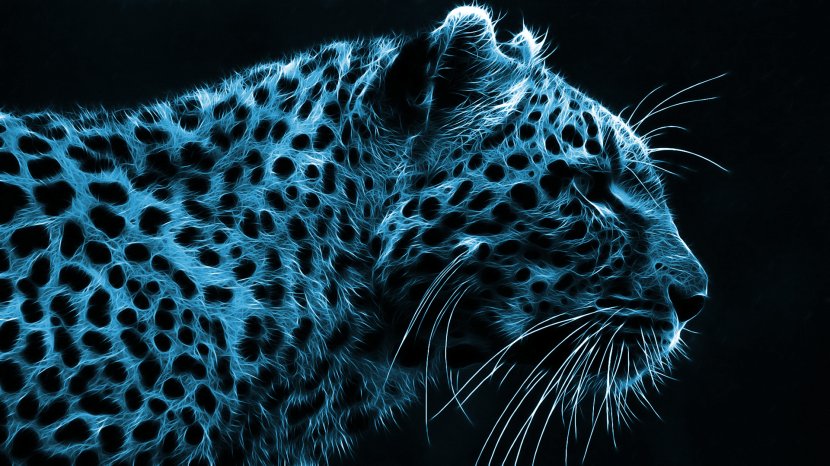 Desktop Wallpaper High-definition Video Television 1080p Display Resolution - Big Cats - Cheetah Transparent PNG