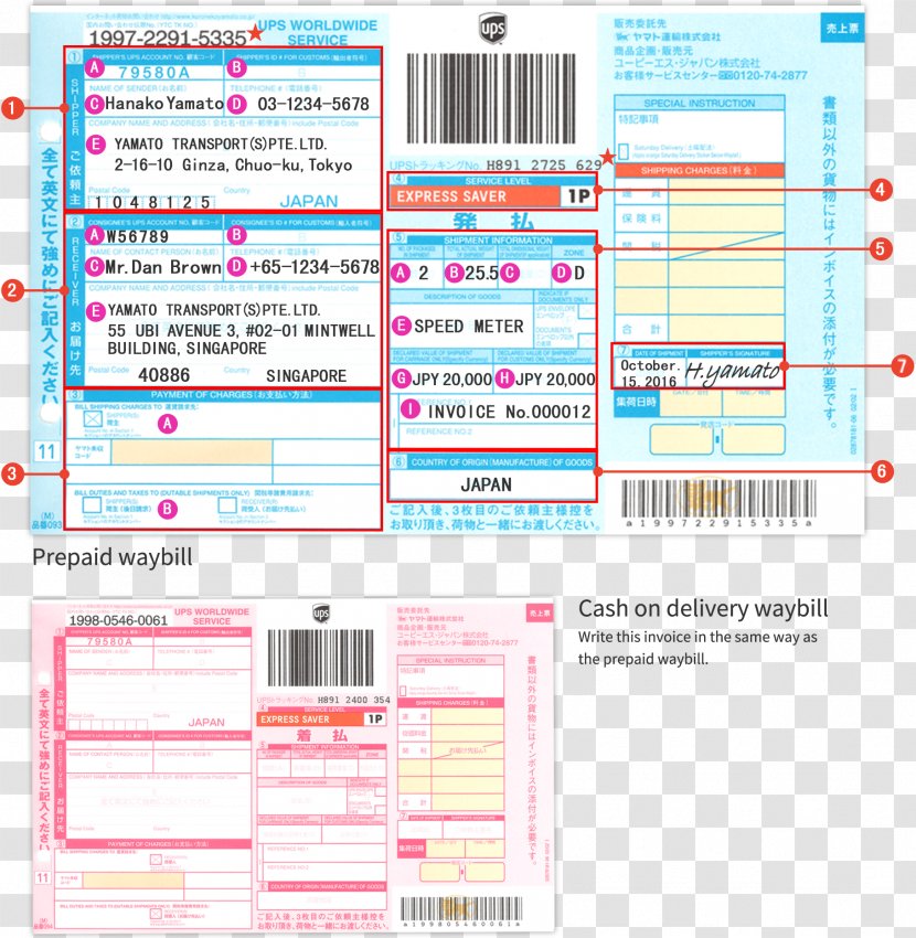 United Parcel Service Cash On Delivery Yamato Transport Cargo Waybill - Paper Transparent PNG