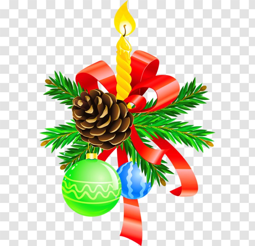 Christmas Ornament Fir Spruce Pine Conifer Cone - Tree Transparent PNG