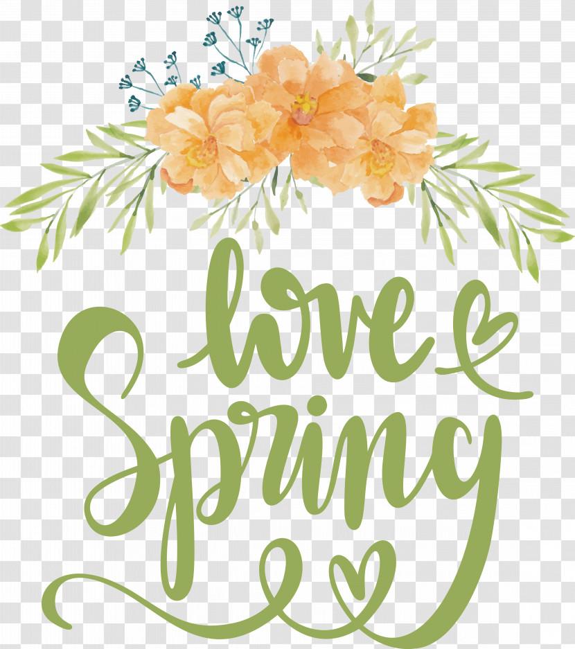 Floral Design Transparent PNG