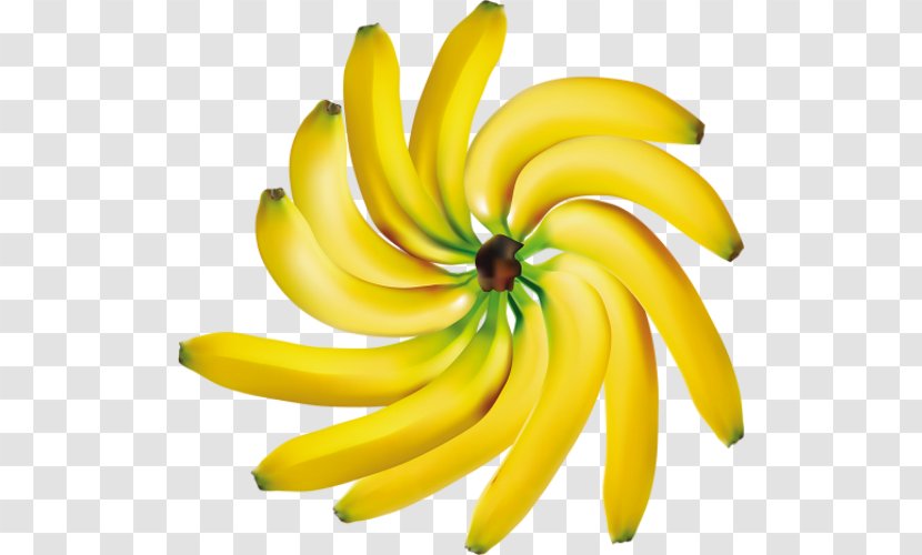 Banana Clip Art Fruit Image - Bananas - Fond Chocolat Transparent PNG