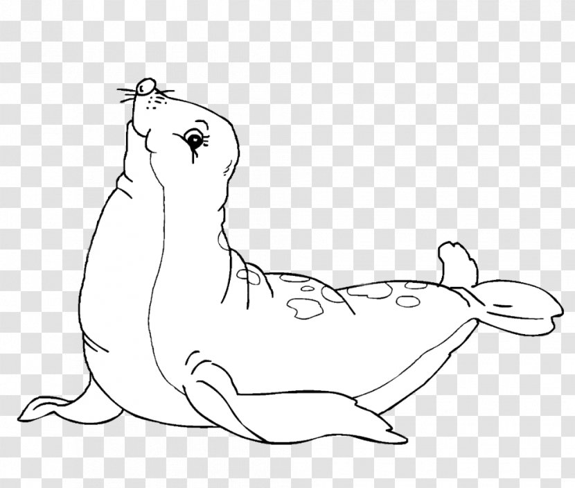 Earless Seal Coloring Book Drawing Harbor - Cartoon - Nature Sea Animals Seals Transparent PNG