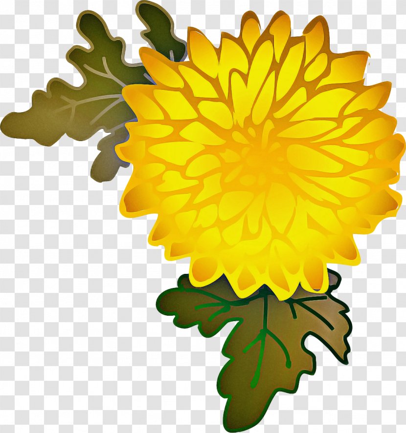 Pot Leaf Cartoon - Sunflower English Marigold Transparent PNG