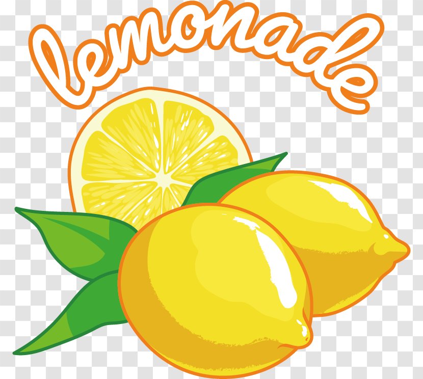 Lemon-lime Drink - Citric Acid - Vector Lemon Transparent PNG