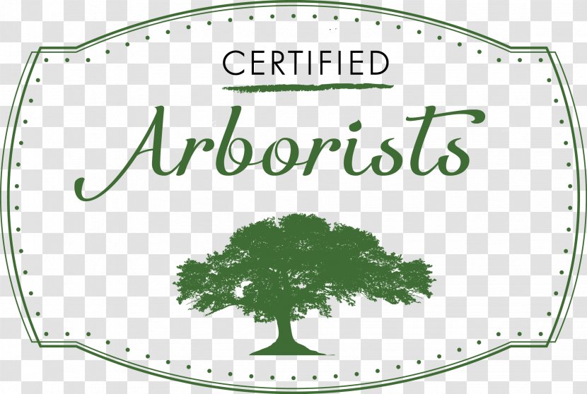 Tree Care Certified Arborist Black Tie Services - Master Transparent PNG