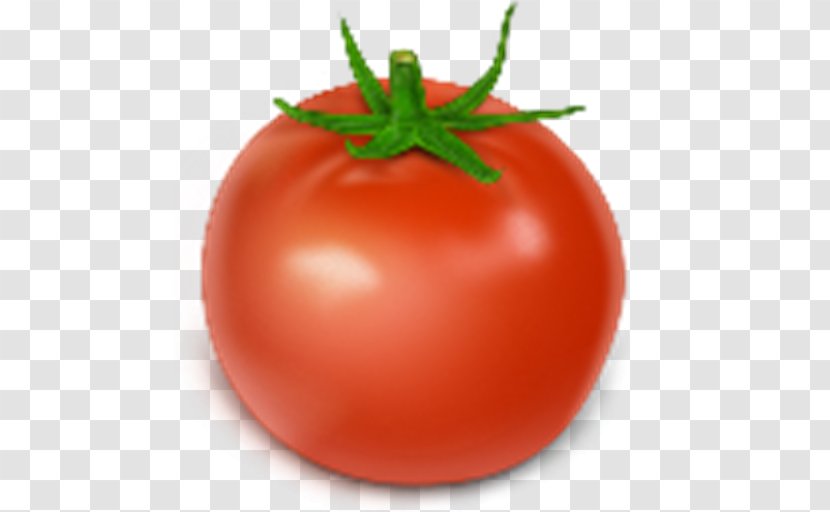 Plum Tomato Bush Vegetable - Vegetarian Cuisine Transparent PNG