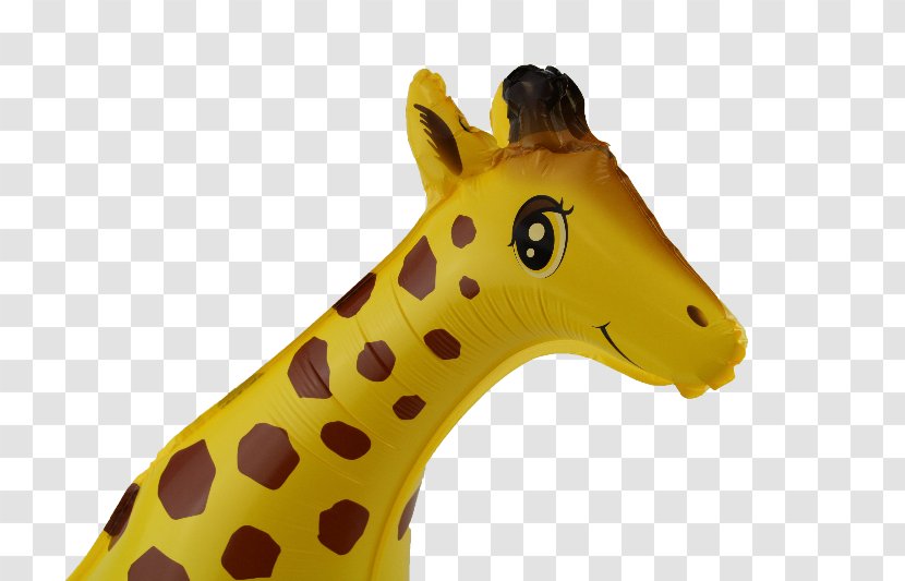 Giraffe Kitty Kangaroo Animal Neck Transparent PNG