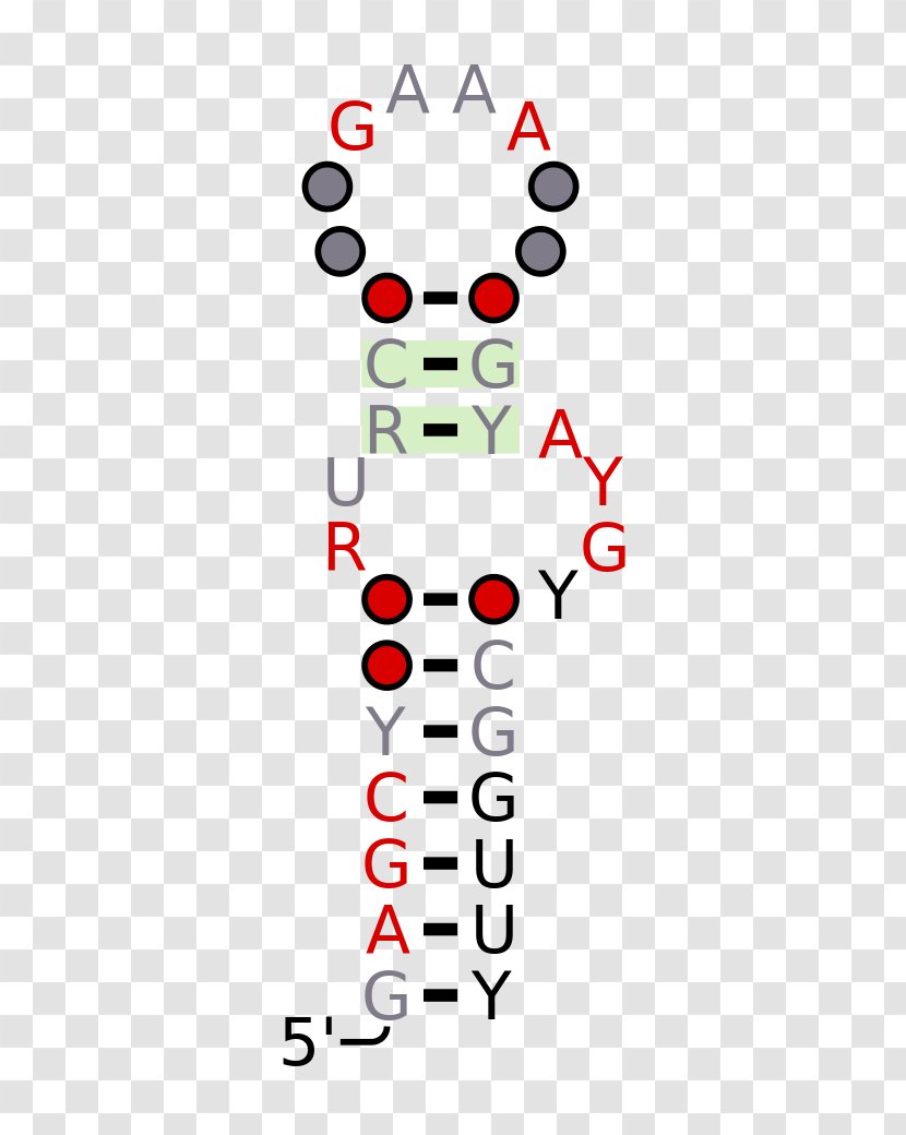 Line Point Angle Clip Art - Area Transparent PNG