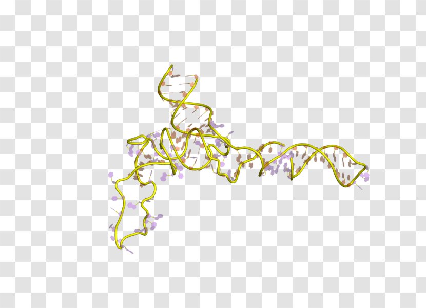5S Ribosomal RNA Ribosome Polymerase - Prokaryote - Fungi Transparent PNG