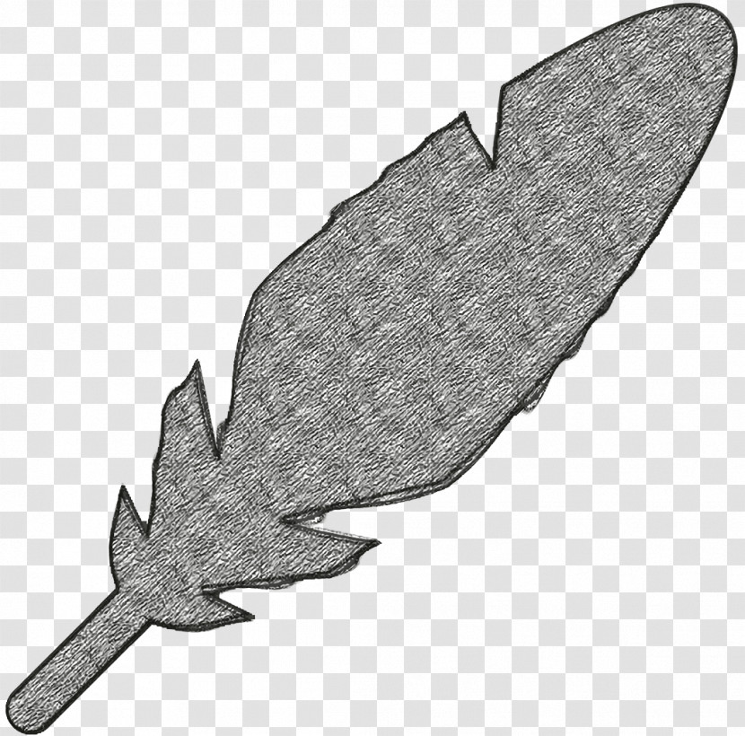 Animals Icon Feather Icon Writer Icon Transparent PNG