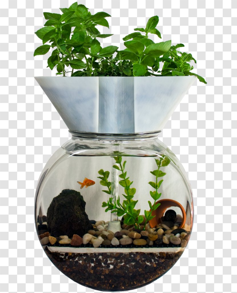Aquaponics Hydroponics Aquaponic Gardening: A Step-By-Step Guide To Raising Vegetables And Fish Together Aquarium - Farming Transparent PNG