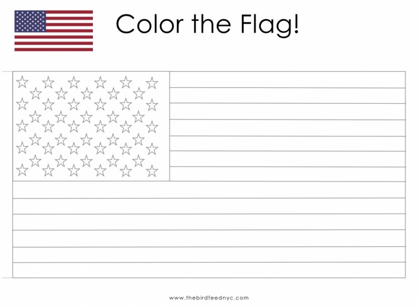 Flag Of The United States Coloring Book Child - Brand - American Printable Transparent PNG