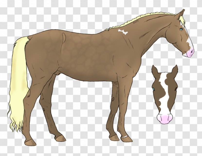 Foal Stallion Mane Mustang Colt - Organism - Canter And Gallop Transparent PNG
