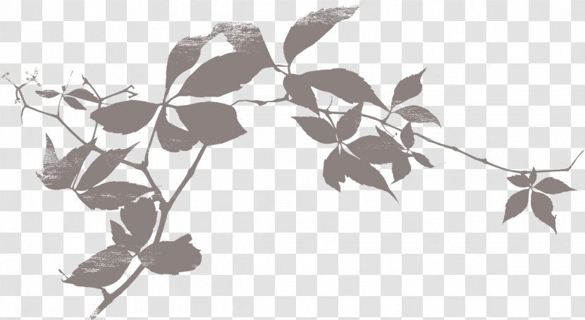 Shadow Silhouette Leaf - Tree - Foliage Transparent PNG