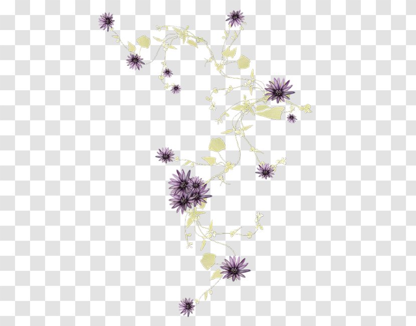 Desktop Wallpaper Computer Flowering Plant Stem - Flower Transparent PNG