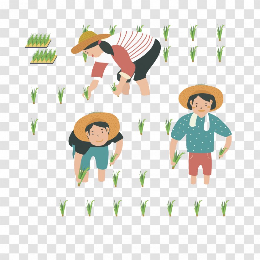 Farmer Rice Transplanter Uad6dub9bdub18duc0b0ubb3cud488uc9c8uad00ub9acuc6d0 Agriculture - Material - Transplanting Farmers Transparent PNG